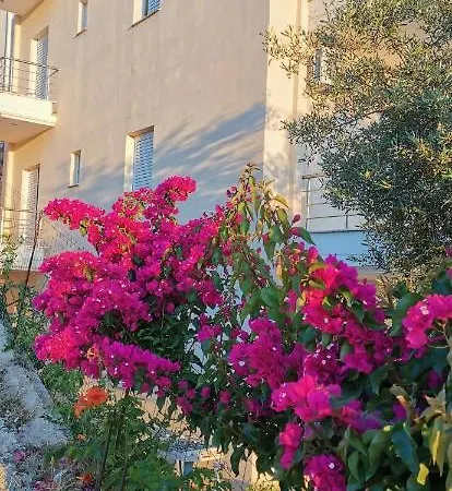 Appartement Apollon's